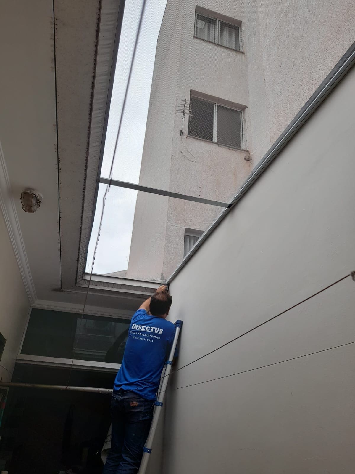 Instalador da Insectus sobre escada aplicando tela mosquiteira em poço de luz estreito entre duas paredes de prédio